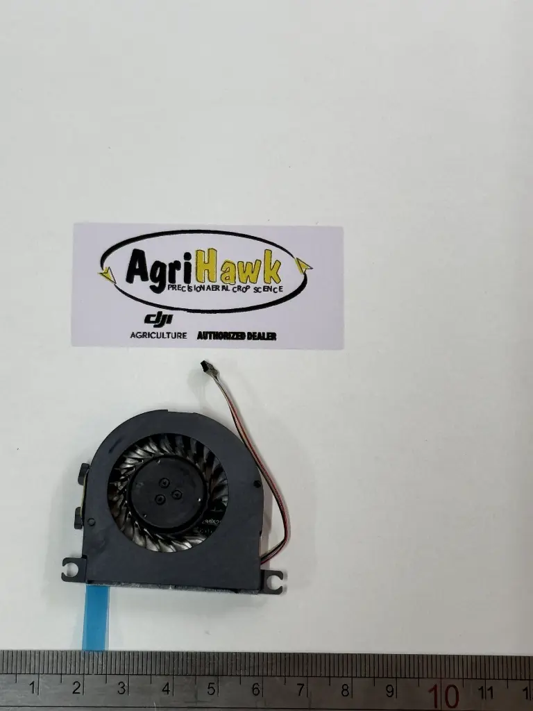 AF000059_1.webp