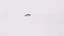 BJ001033 - 2.webp