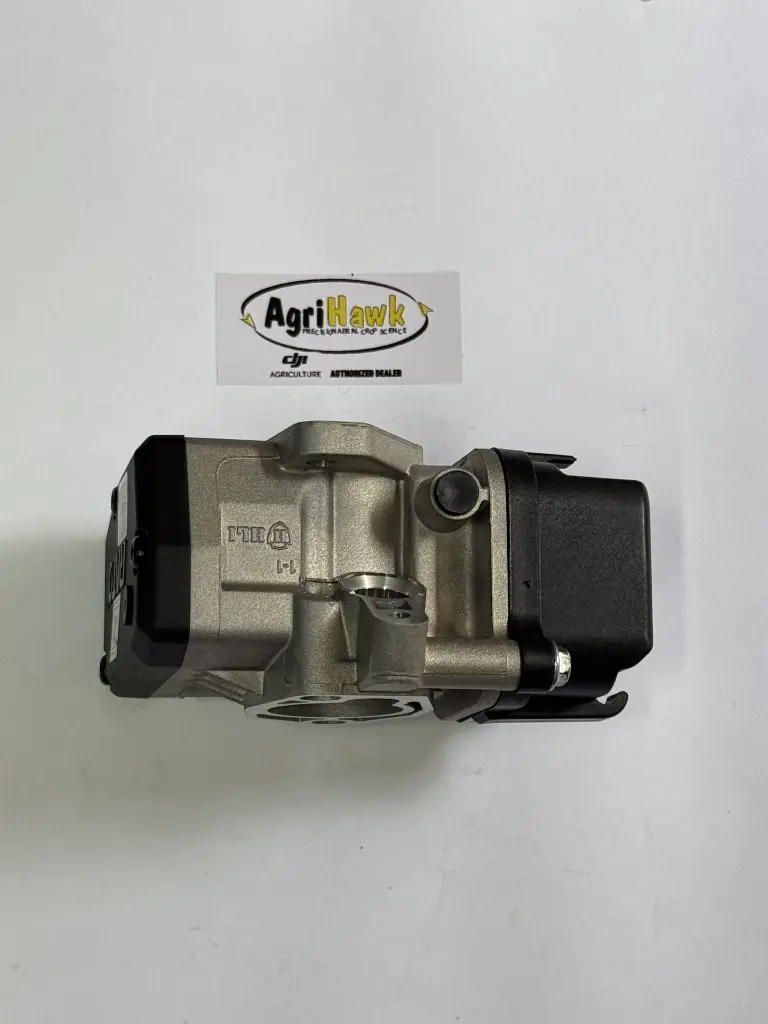 GR000432_2.webp