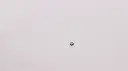 L00178 - 2.webp