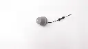 SS000560 - 2.webp