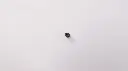 ZZ000968.01.WJ