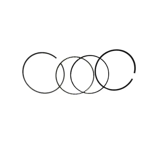 GR000051.01.DZ