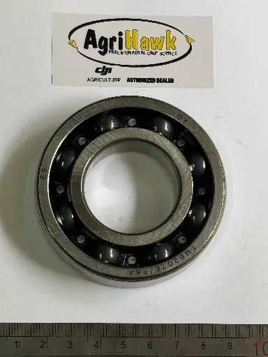 GR000381.01.DZ