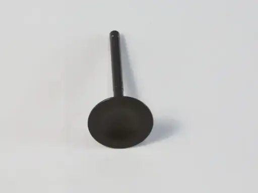 GR000234.01.DZ
